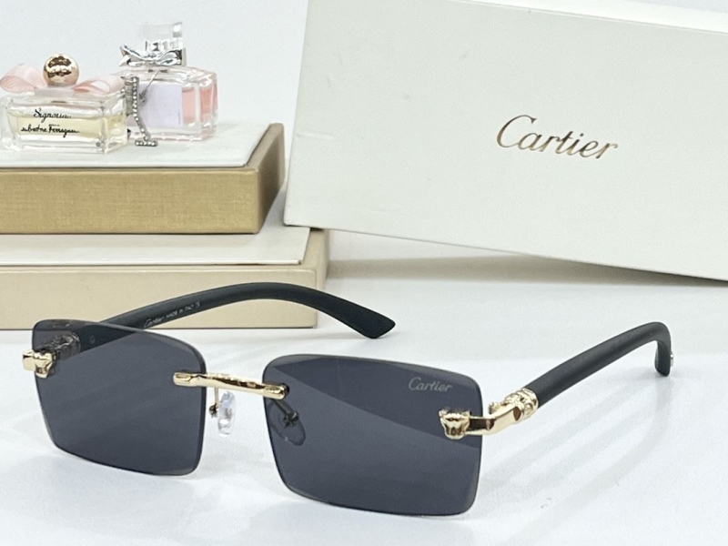 Cartier Sunglasses